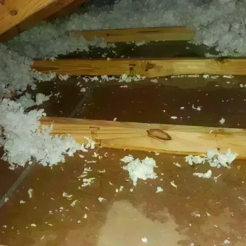 Attic Water Damage in Saline County, MO