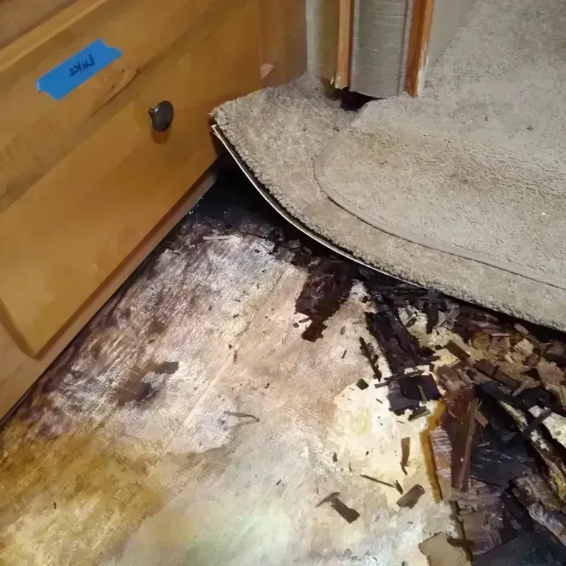 Best Wood Floor Water Damage Service in Saline County, MO